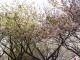 img0027.jpg