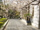 img0032.jpg