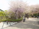 img0038.jpg