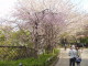 img0039.jpg