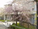 img0041.jpg