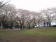 img0043.jpg