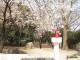 img0044.jpg