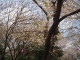 img0045.jpg