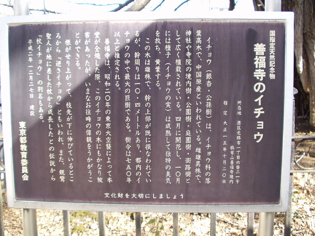 img0012.jpg
