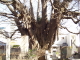 img0011.jpg