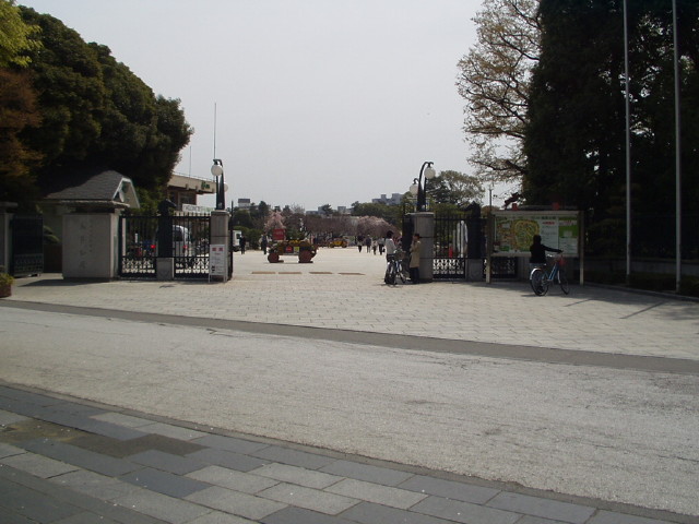 img0003.jpg