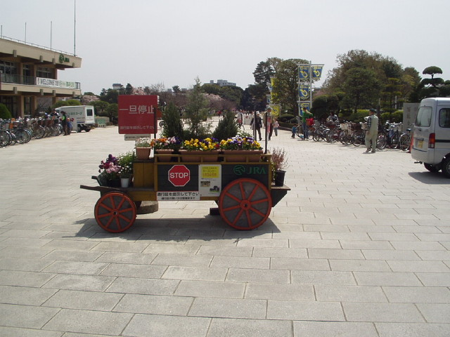 img0005.jpg