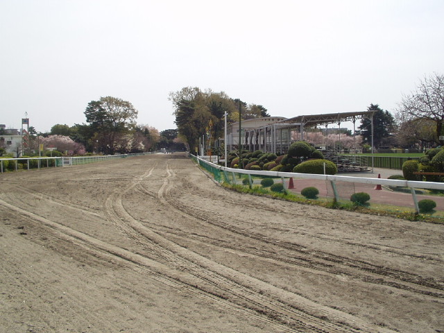 img0007.jpg