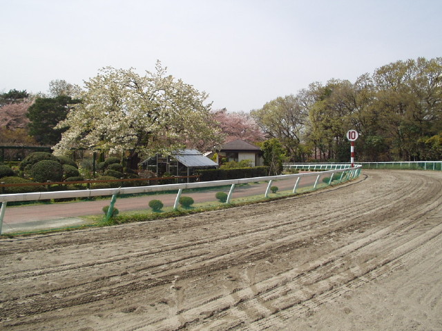 img0008.jpg
