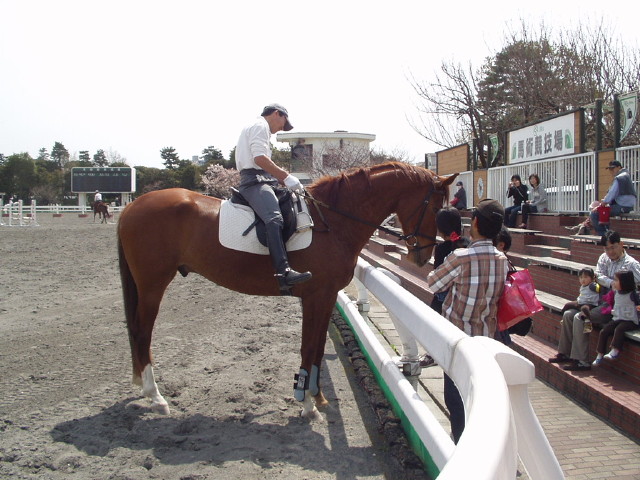 img0010.jpg