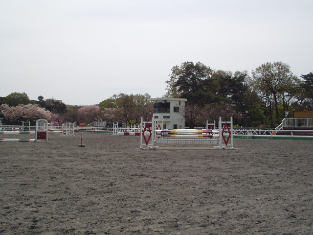 img0011.jpg