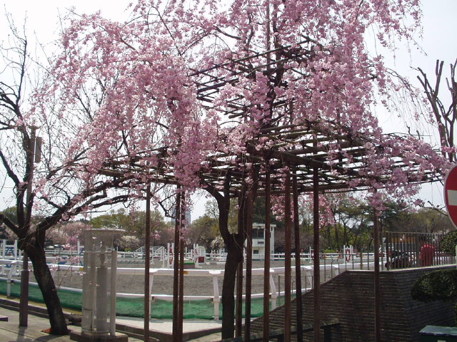 img0012.jpg