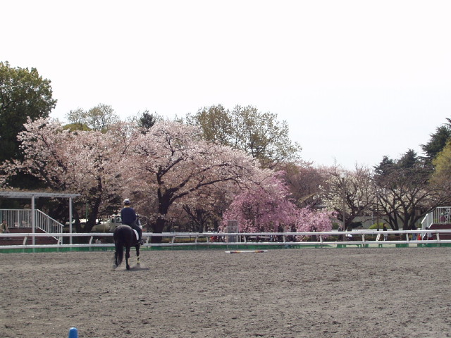 img0013.jpg