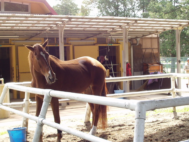 img0014.jpg
