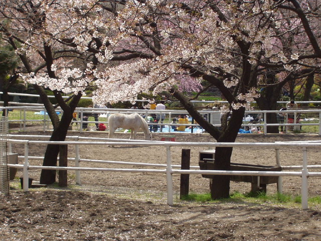 img0015.jpg