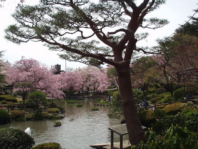 img0017.jpg