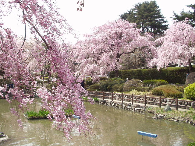 img0018.jpg