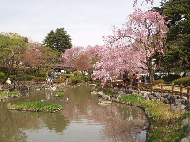 img0019.jpg