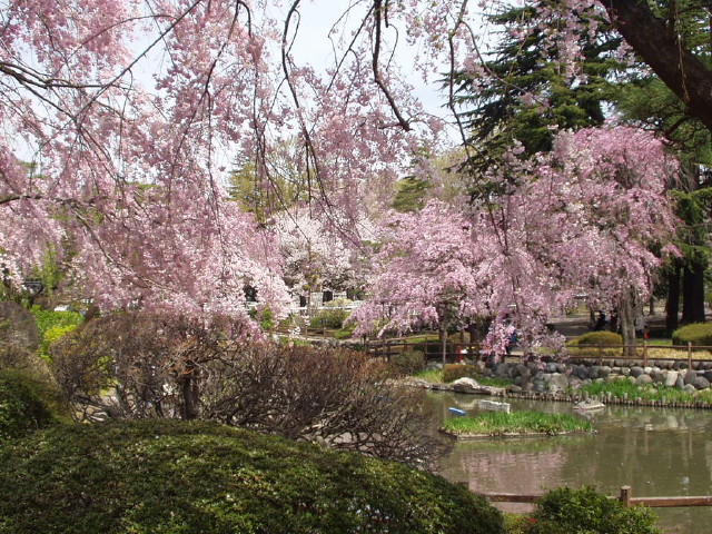 img0021.jpg