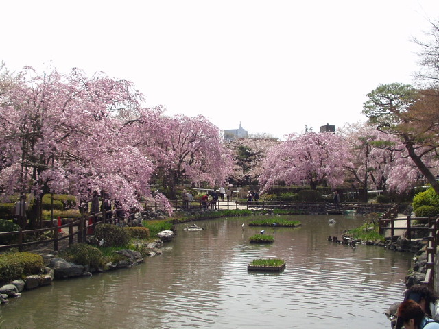 img0024.jpg