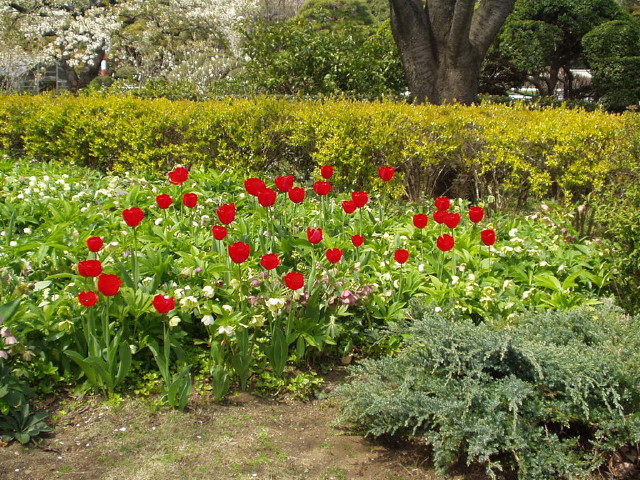 img0025.jpg