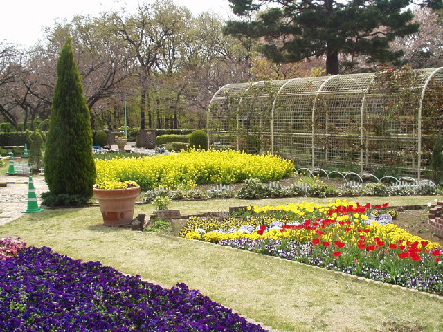 img0028.jpg