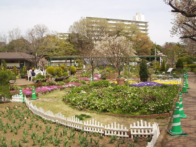 img0030.jpg