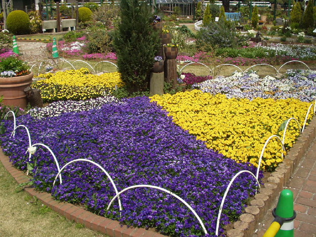 img0031.jpg