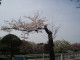 img0006.jpg
