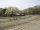 img0008.jpg