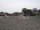 img0011.jpg