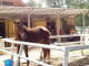 img0014.jpg