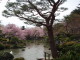 img0017.jpg