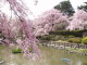 img0018.jpg