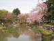 img0019.jpg