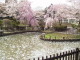 img0020.jpg