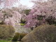 img0023.jpg