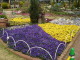 img0031.jpg