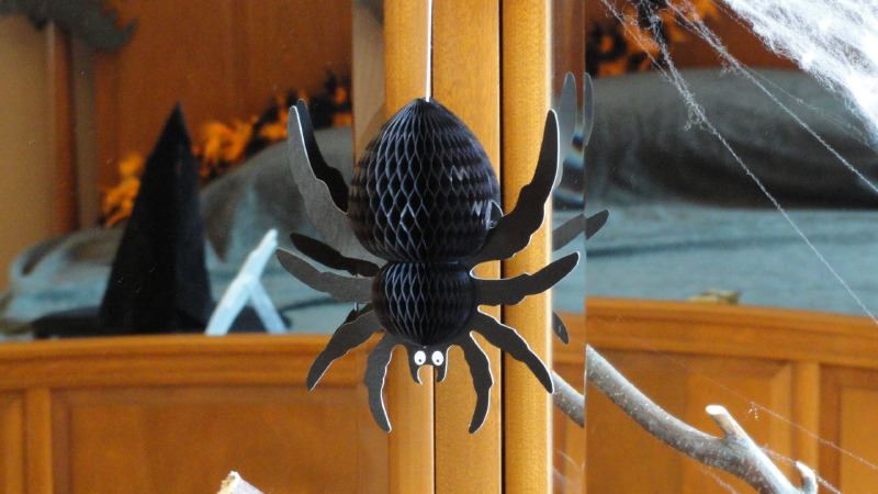 img0016.jpg