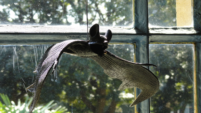 img0017.jpg