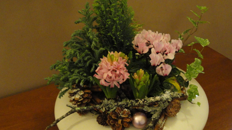 img0010.jpg