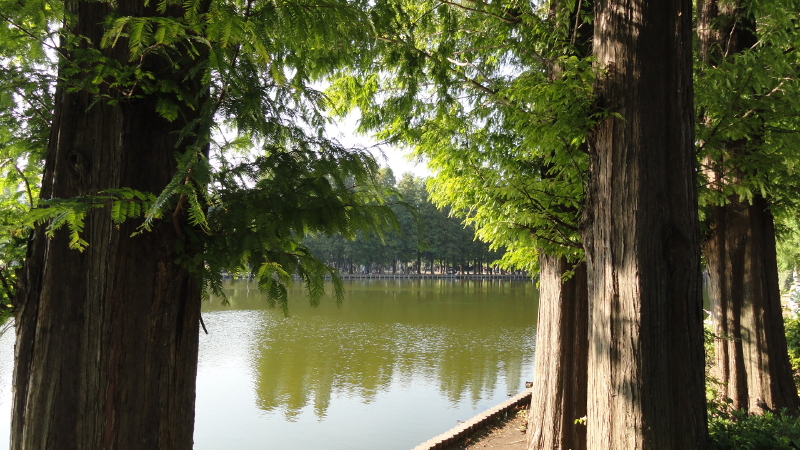 img0010.jpg