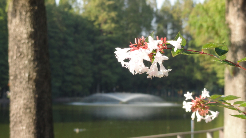 img0011.jpg