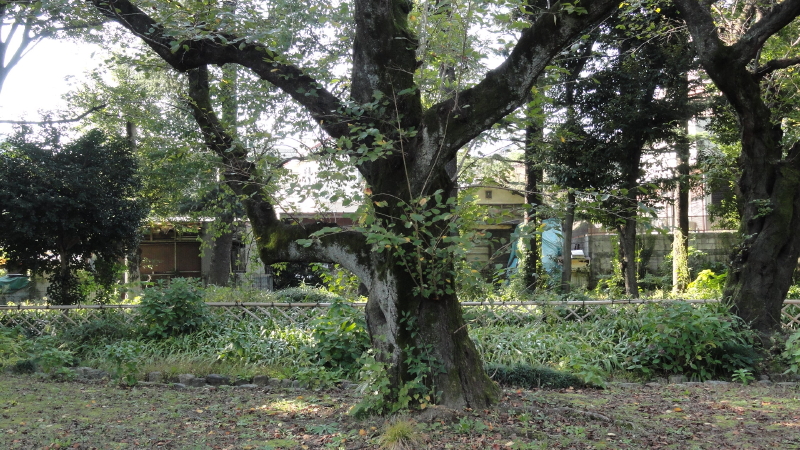 img0014.jpg