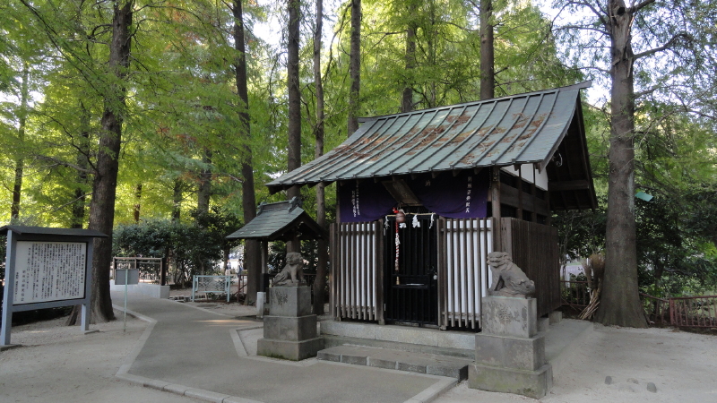 img0026.jpg