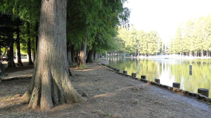 img0029.jpg