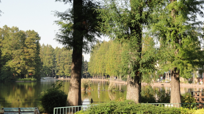 img0031.jpg