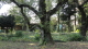 img0014.jpg