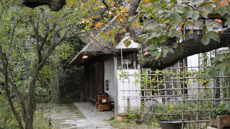 img0025.jpg